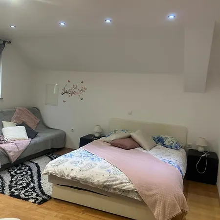 Apartment Turisticna Kmetija Golej *